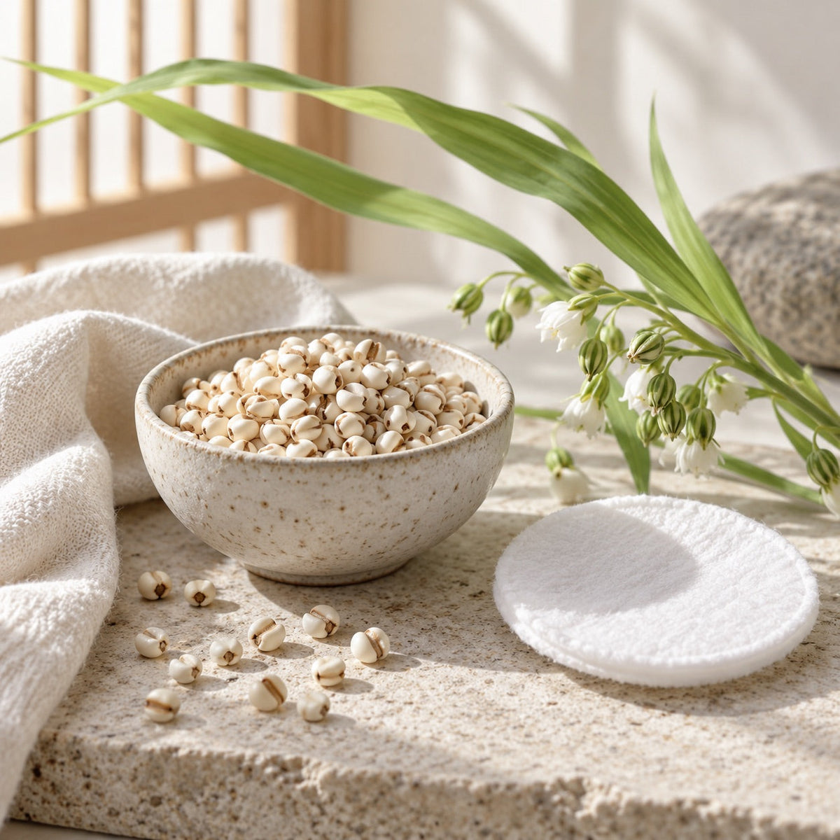 Hatomugi grains, cotton pad and soft green botanicals in a simple skincare still life.