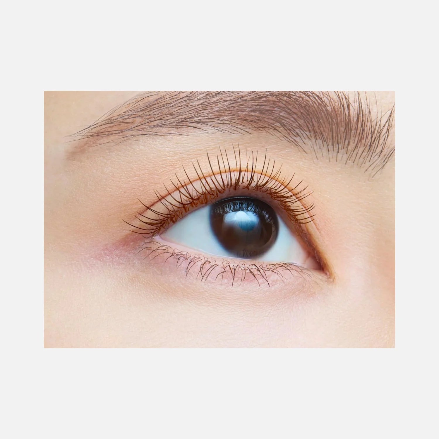 E2 Natural Brown