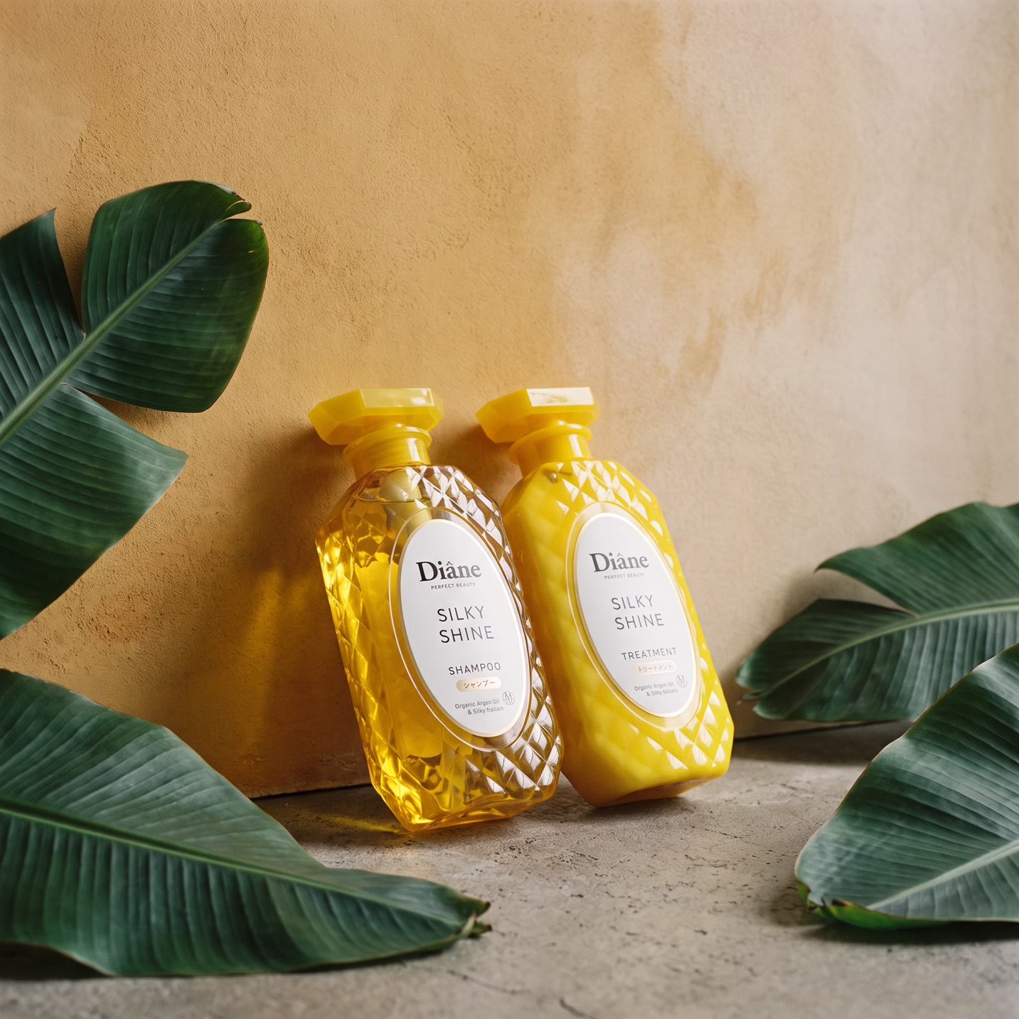 Diane Silky Shine Shampoo & Treatment Set 450ml Each