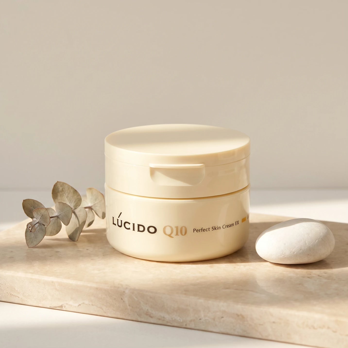Lucido Q10 Perfect Skin Cream EX for Men 90g
