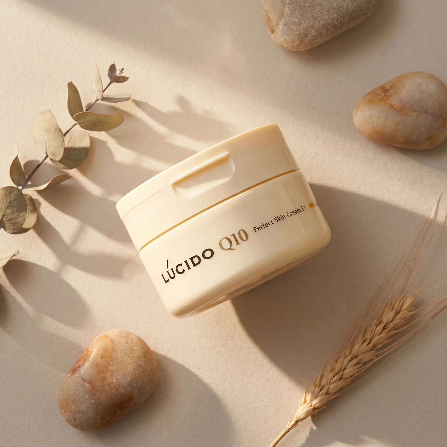 Lucido Q10 Perfect Skin Cream EX for Men 90g