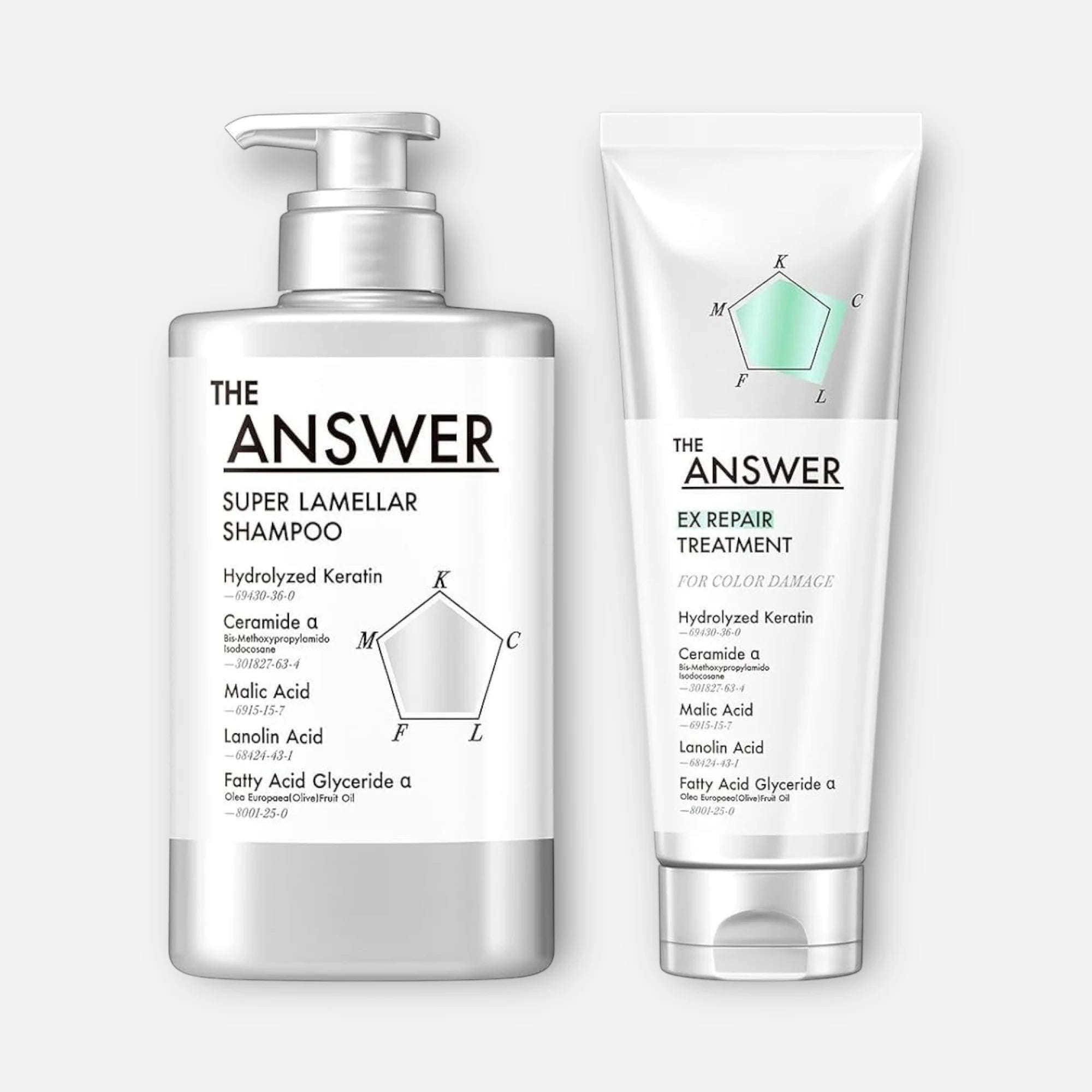 The Answer Super Lamellar Shampoo & EX Repair Treatment (400ml