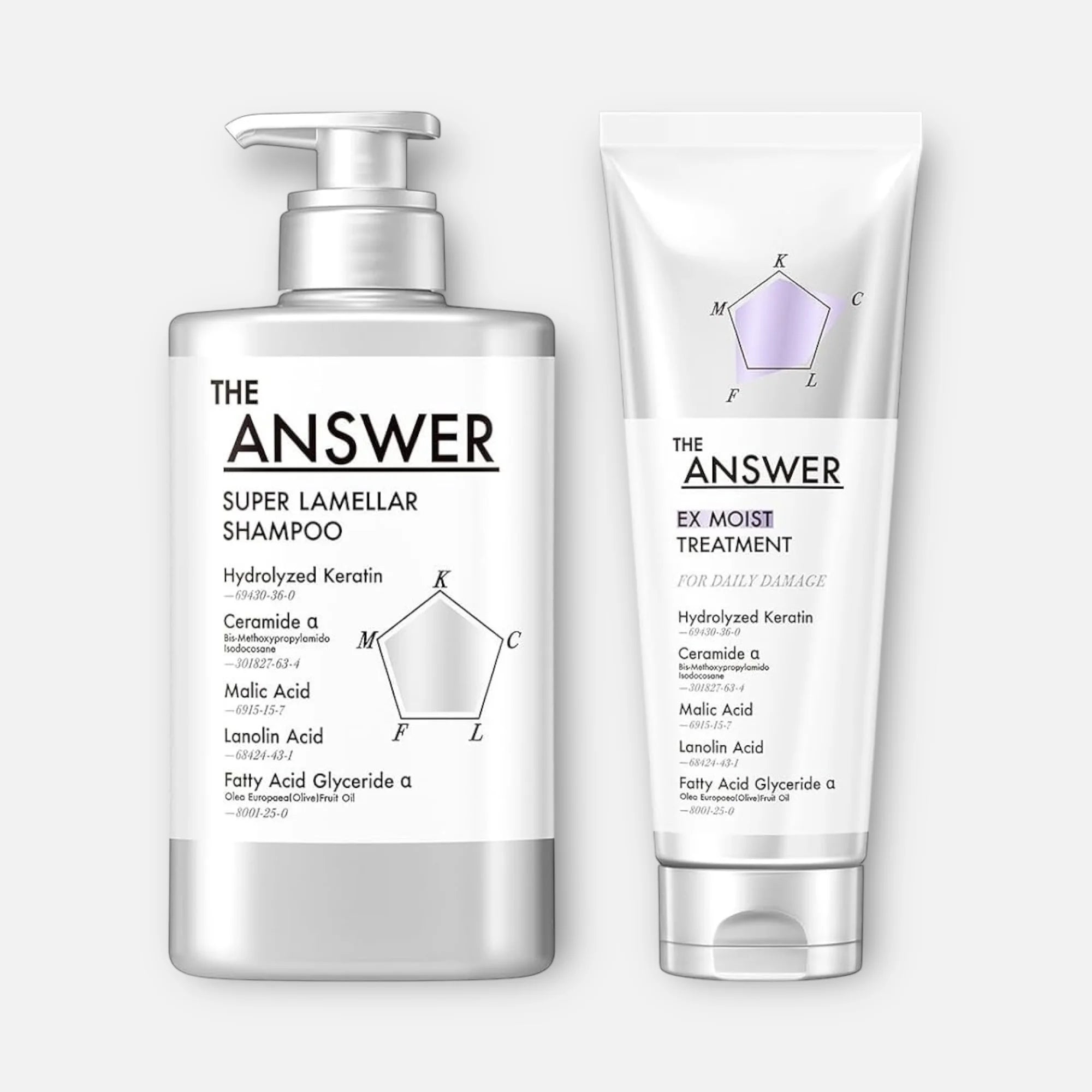 The Answer Super Lamellar Shampoo & EX Moist Treatment (400ml & 220g)