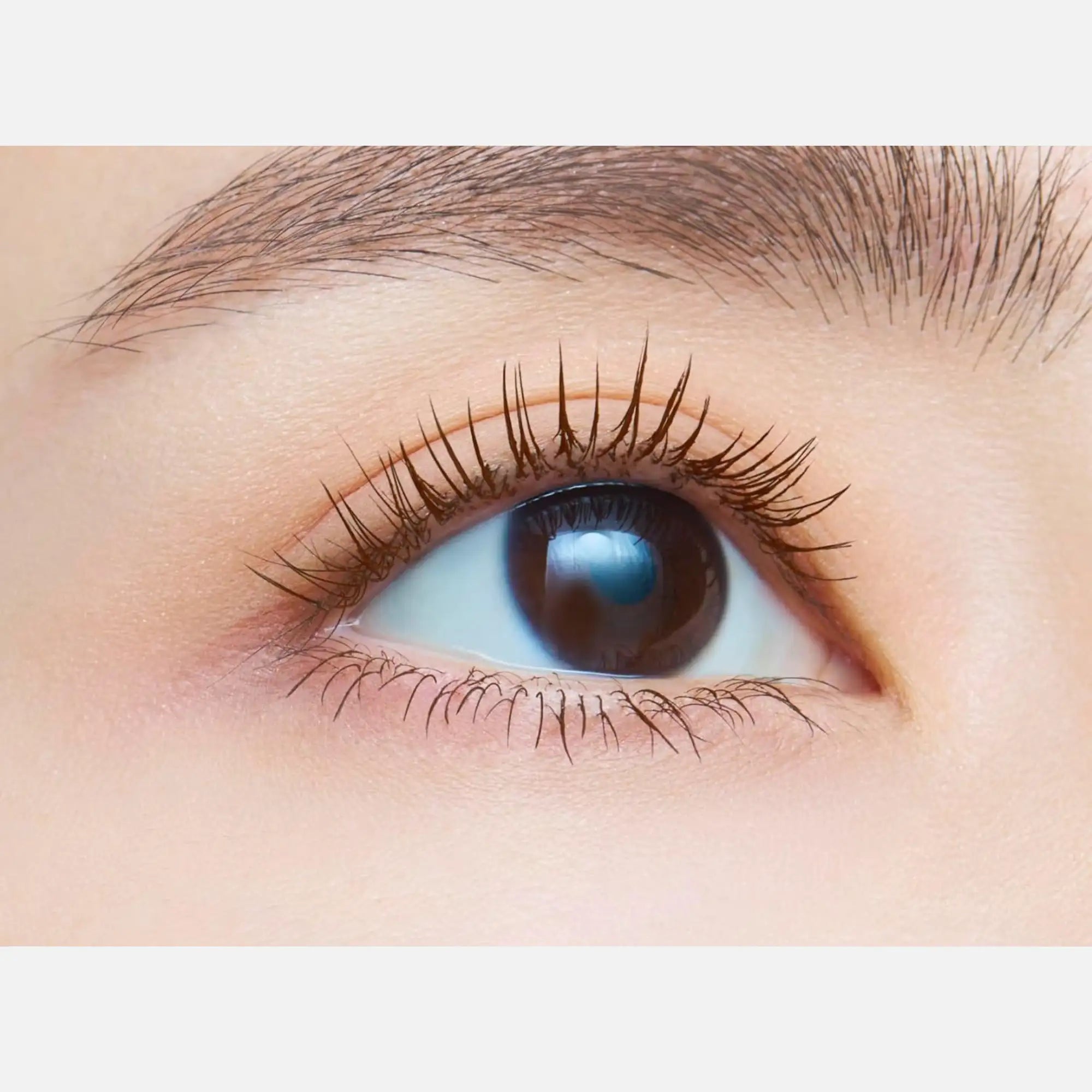 2 Mocha Brown