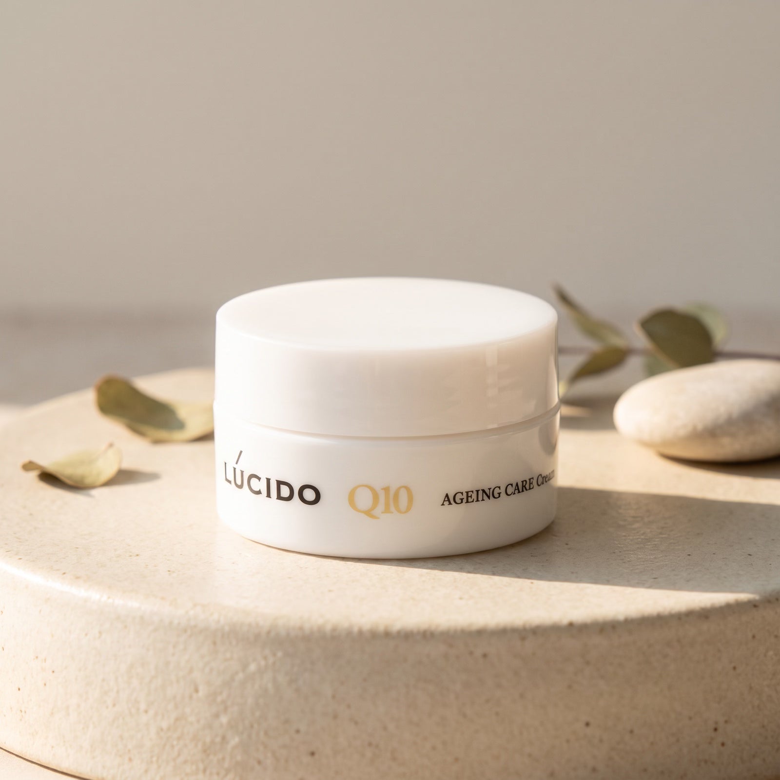 Lucido Q10 Ageing Care Cream for Men 50g — GIFT - DEFAULT