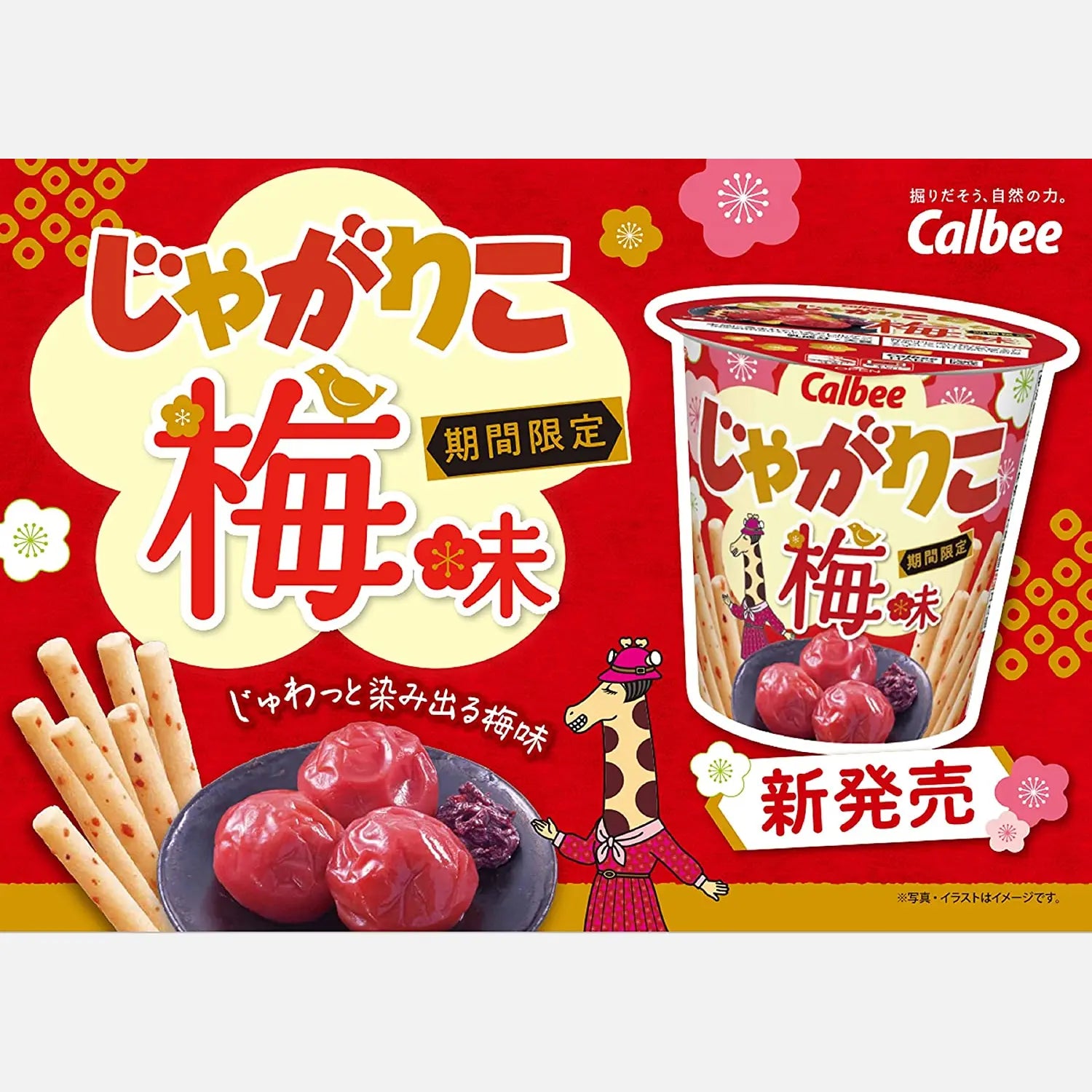 Calbee | Japanese Snacks Brand – Buy Me Japan