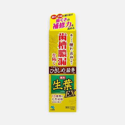 Kobayashi Shoyo EX Medicated Herbal Toothpaste 100g
