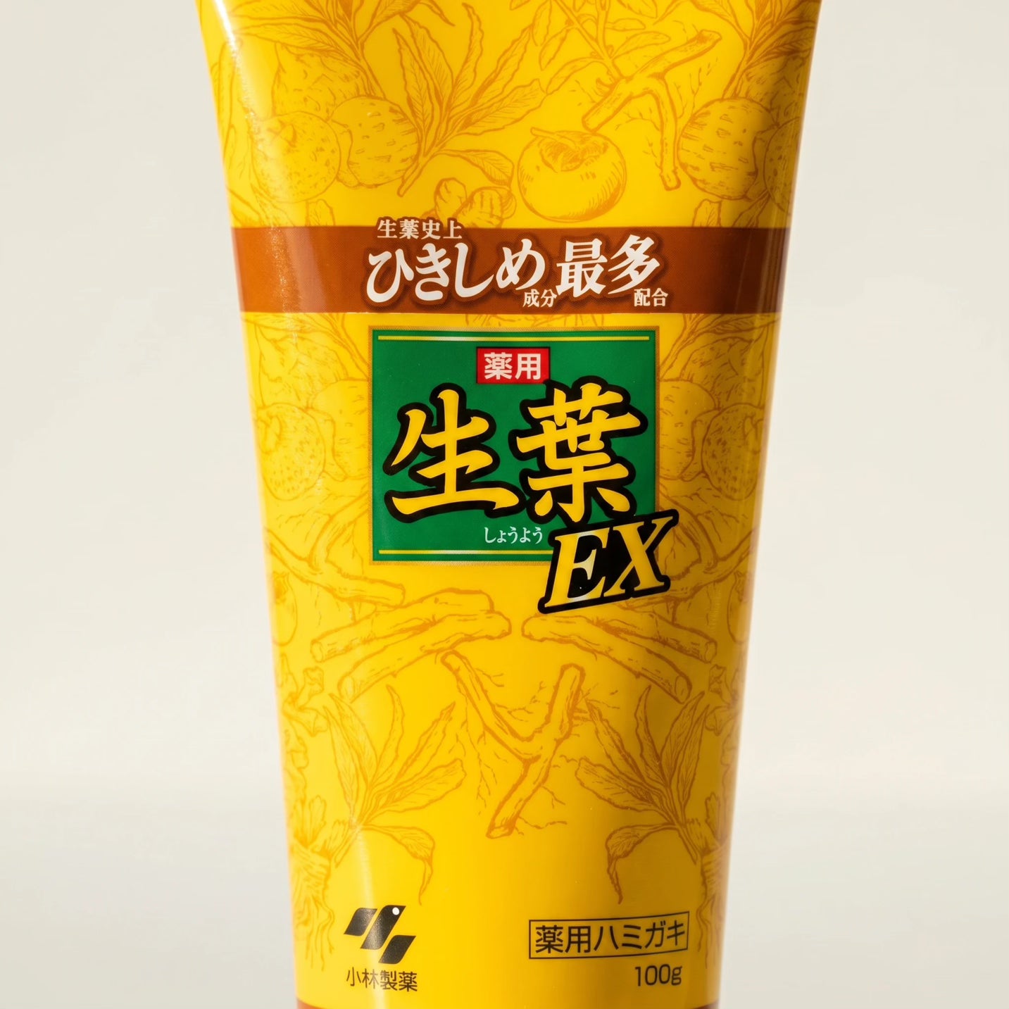 Kobayashi Shoyo EX Medicated Herbal Toothpaste 100g