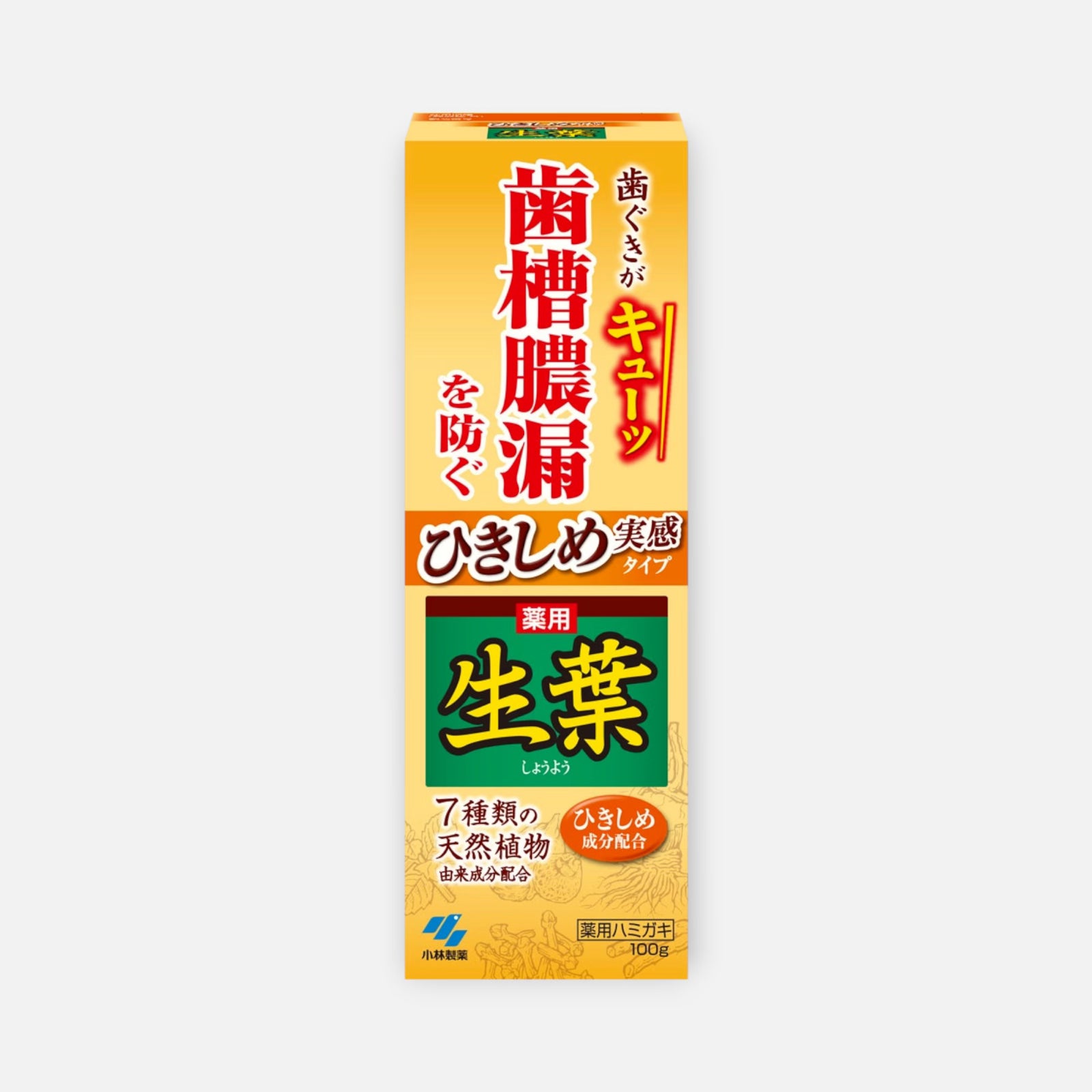 Kobayashi Shoyo Medicated Herbal Toothpaste 100g