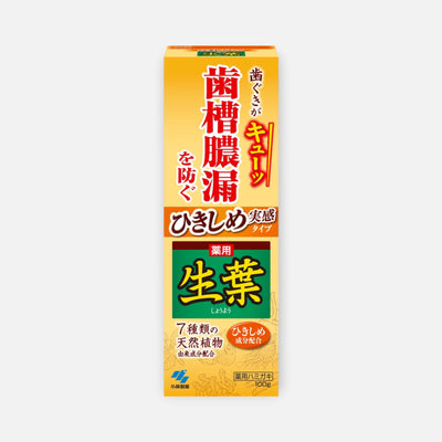 Kobayashi Shoyo Medicated Herbal Toothpaste 100g