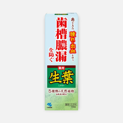Kobayashi Shoyo Medicated Herbal Mint Toothpaste 100g