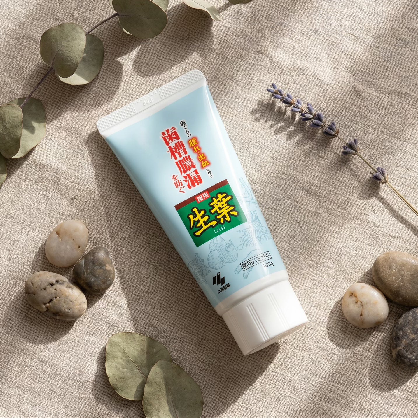 Kobayashi Shoyo Medicated Herbal Mint Toothpaste 100g