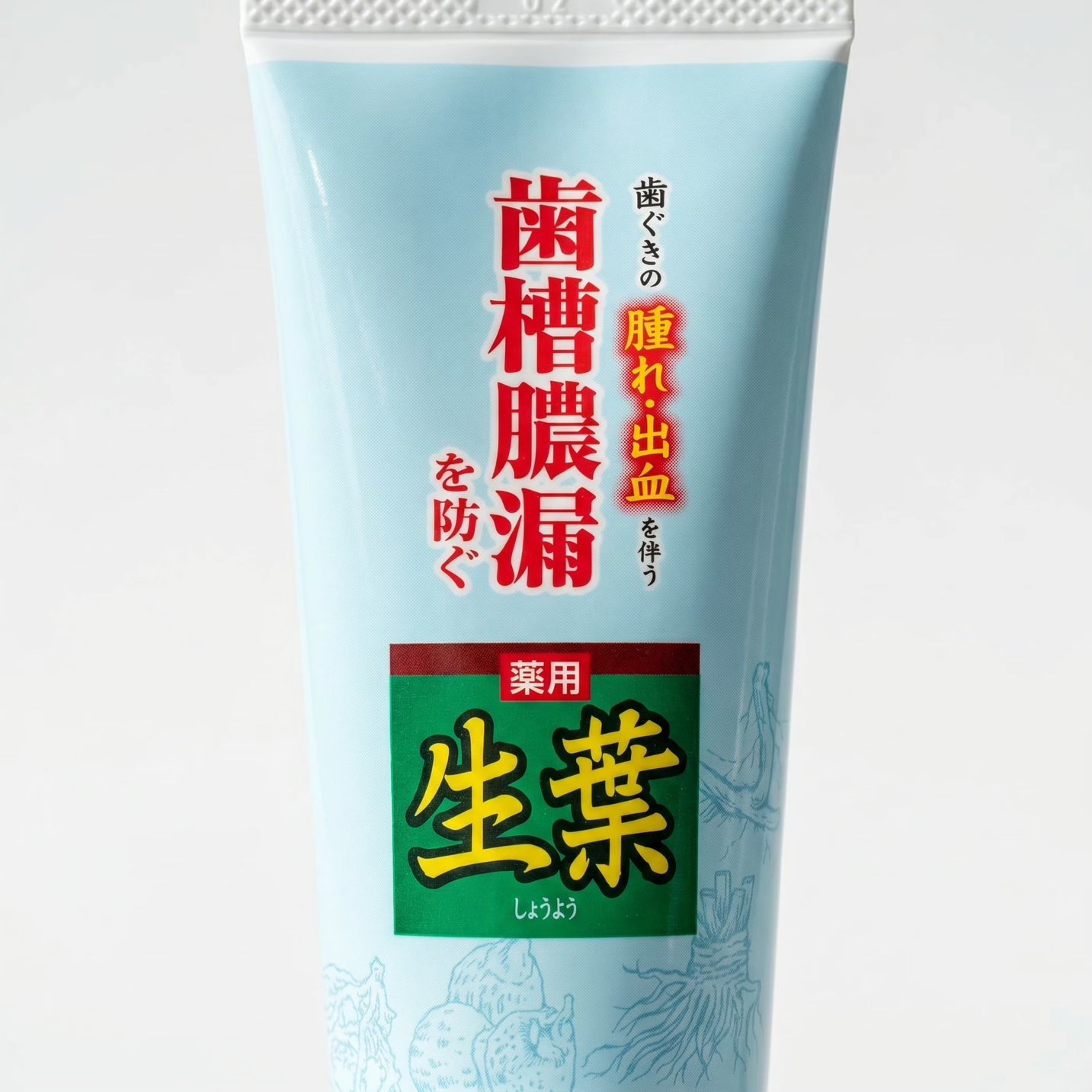 Kobayashi Shoyo Medicated Herbal Mint Toothpaste 100g