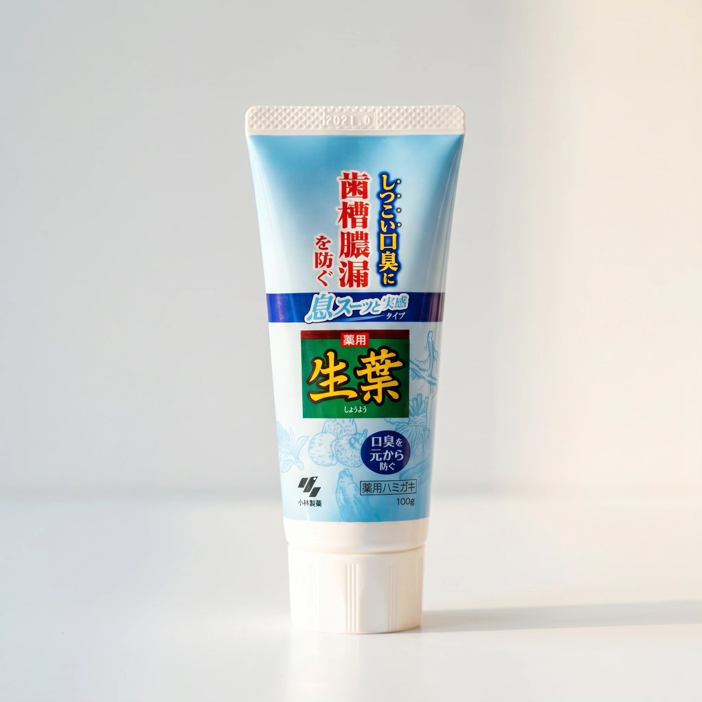 Kobayashi Shoyo Medicated Herbal Super Cool Toothpaste 100g