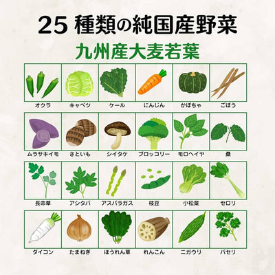 Nihon Yakken Golden Aojiru 25 Types of Vegetables + Lactic Acid 3.5g (65 units)