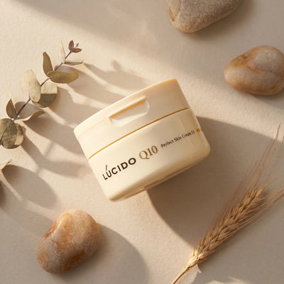 Lucido Q10 Perfect Skin Cream EX for Men 90g