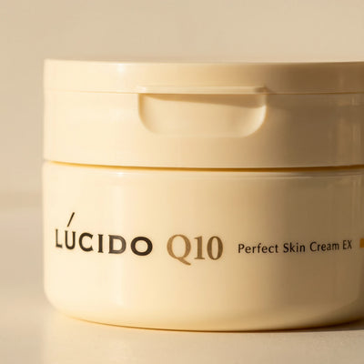 Lucido Q10 Perfect Skin Cream EX for Men 90g