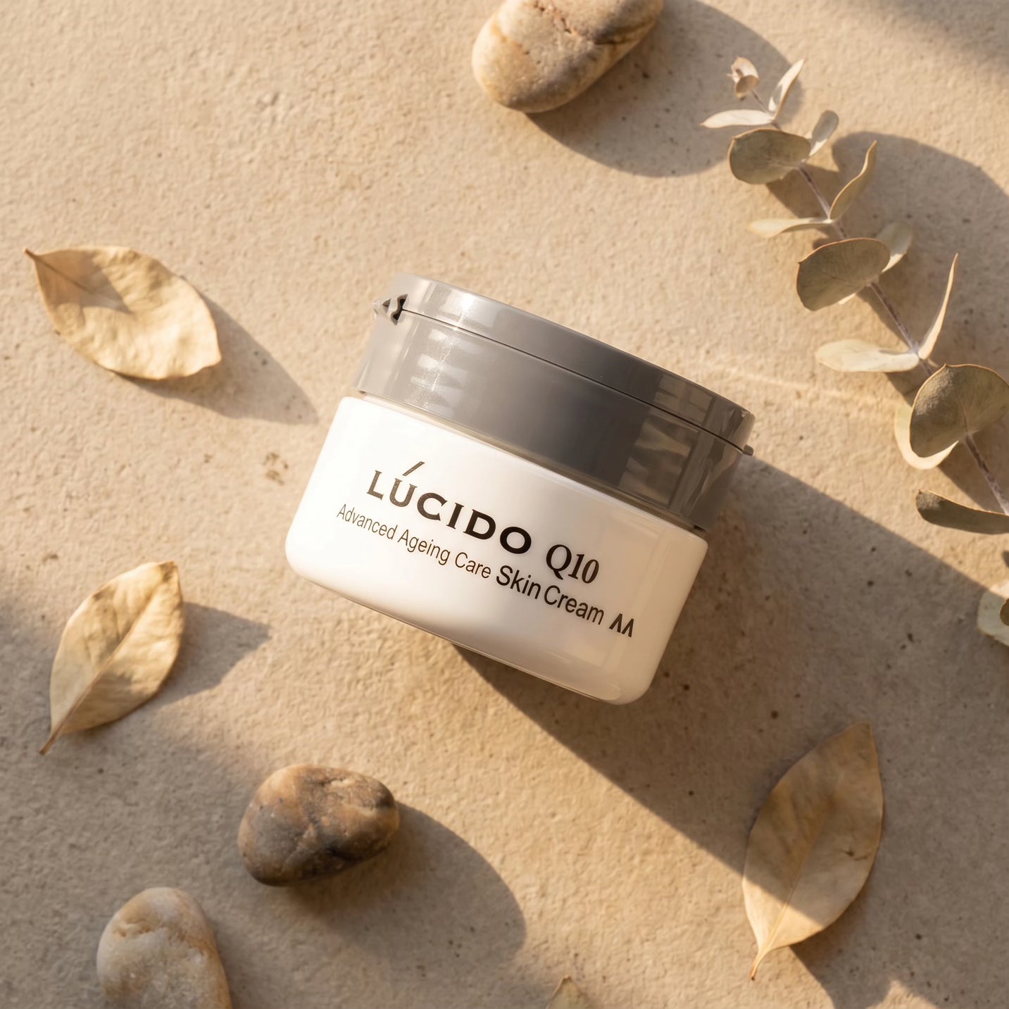 Lucido Q10 Advanced Ageing Care Skin Cream for Men 90g