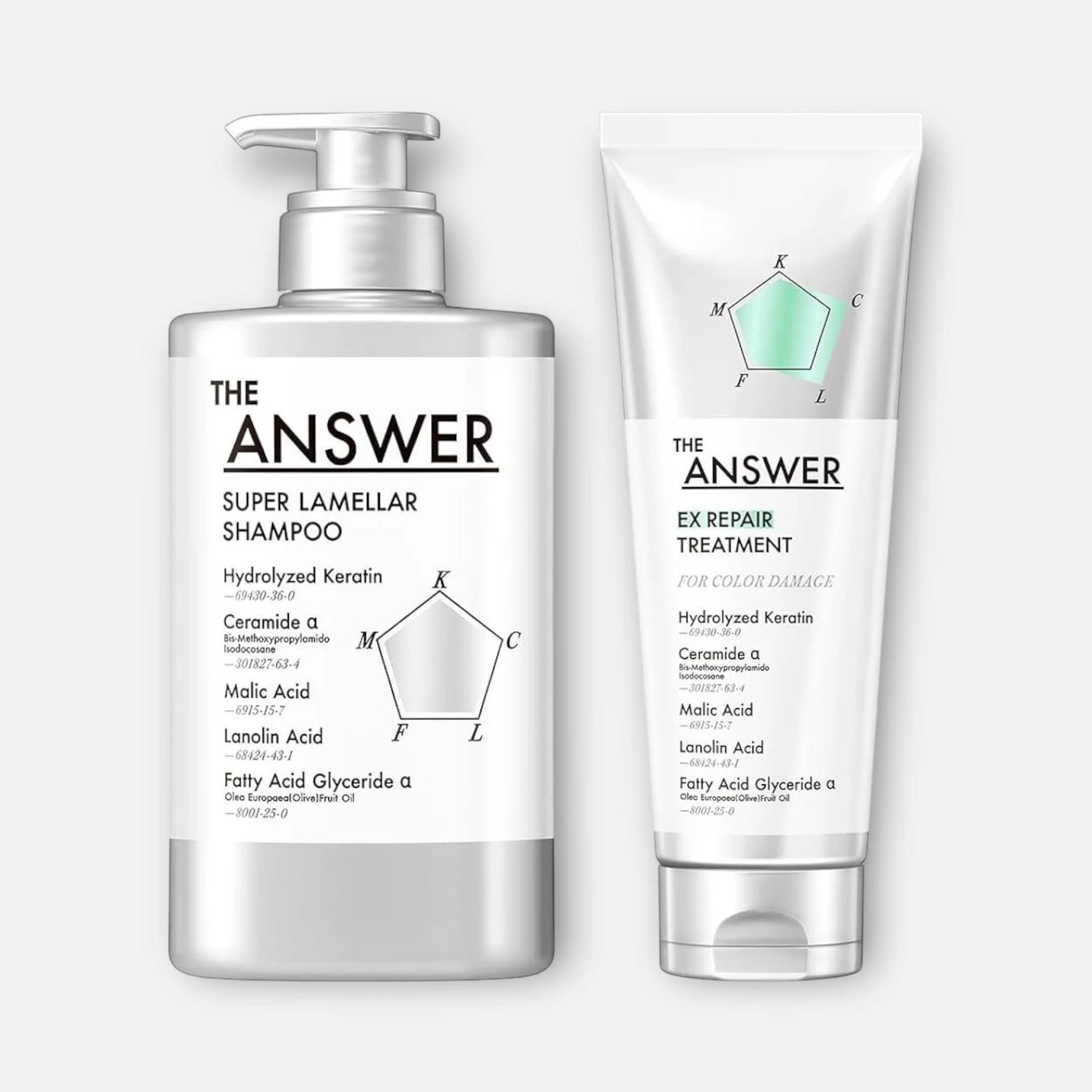 The Answer Super Lamellar Shampoo & EX Repair Treatment (400ml