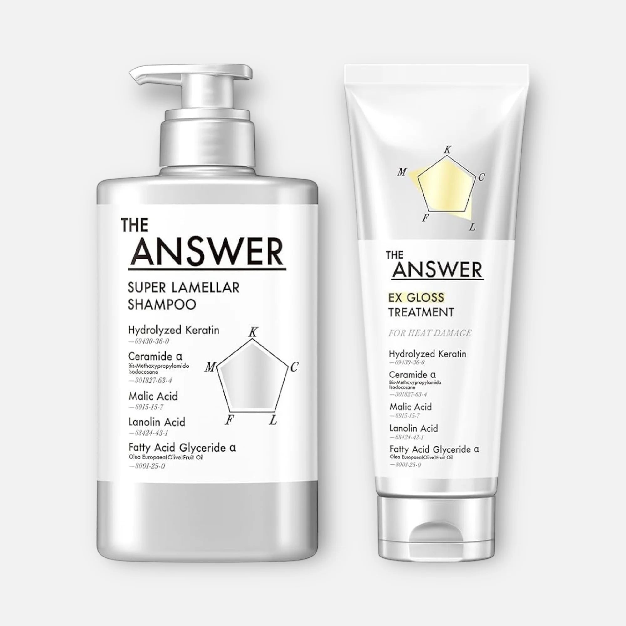 The Answer Super Lamellar Shampoo & EX Gloss Treatment (400ml & 220g)