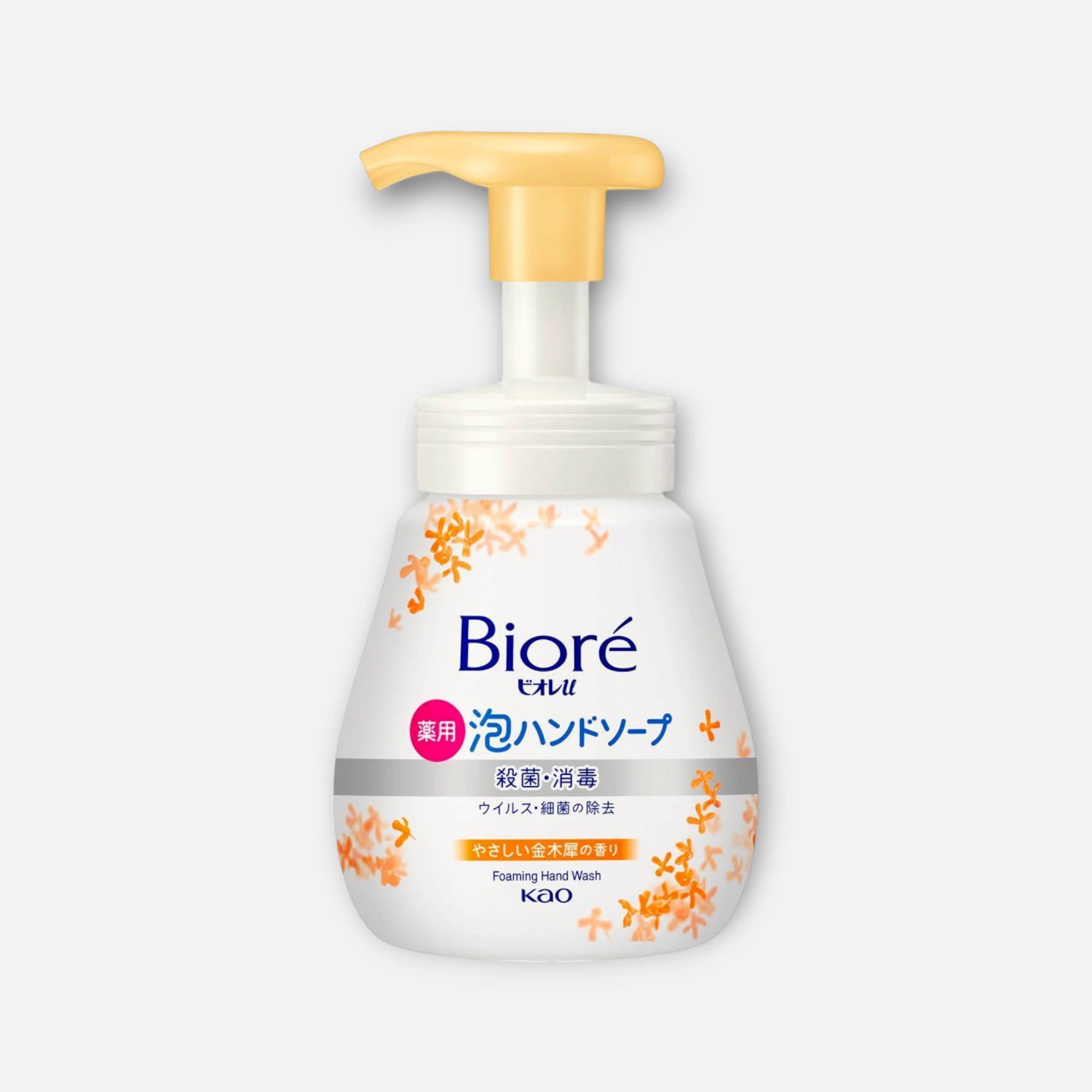 Biore Foaming Hand Soap 240ml (Various Scents)