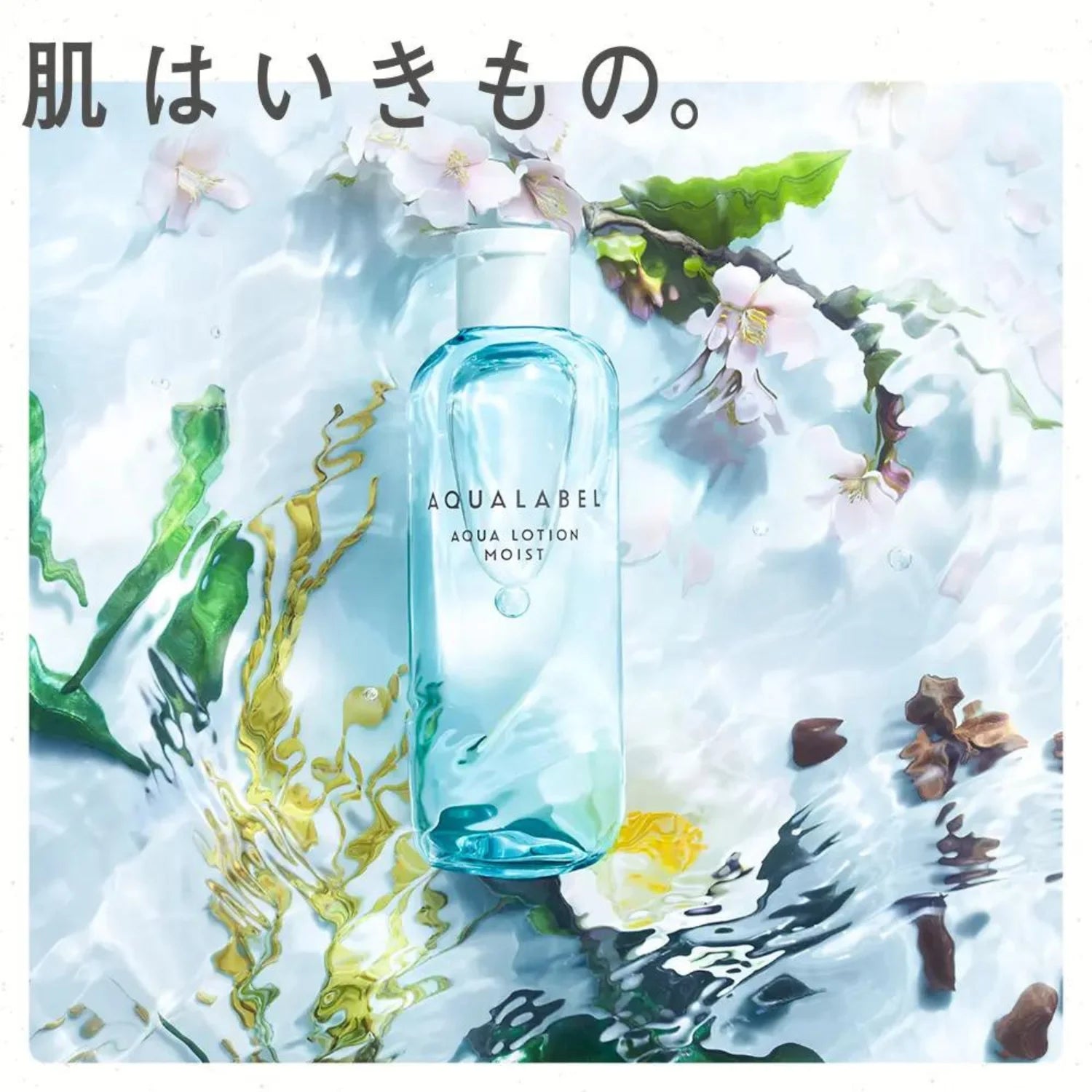 Shiseido AQUALABEL Aqua Lotion Rich Moist 220ml