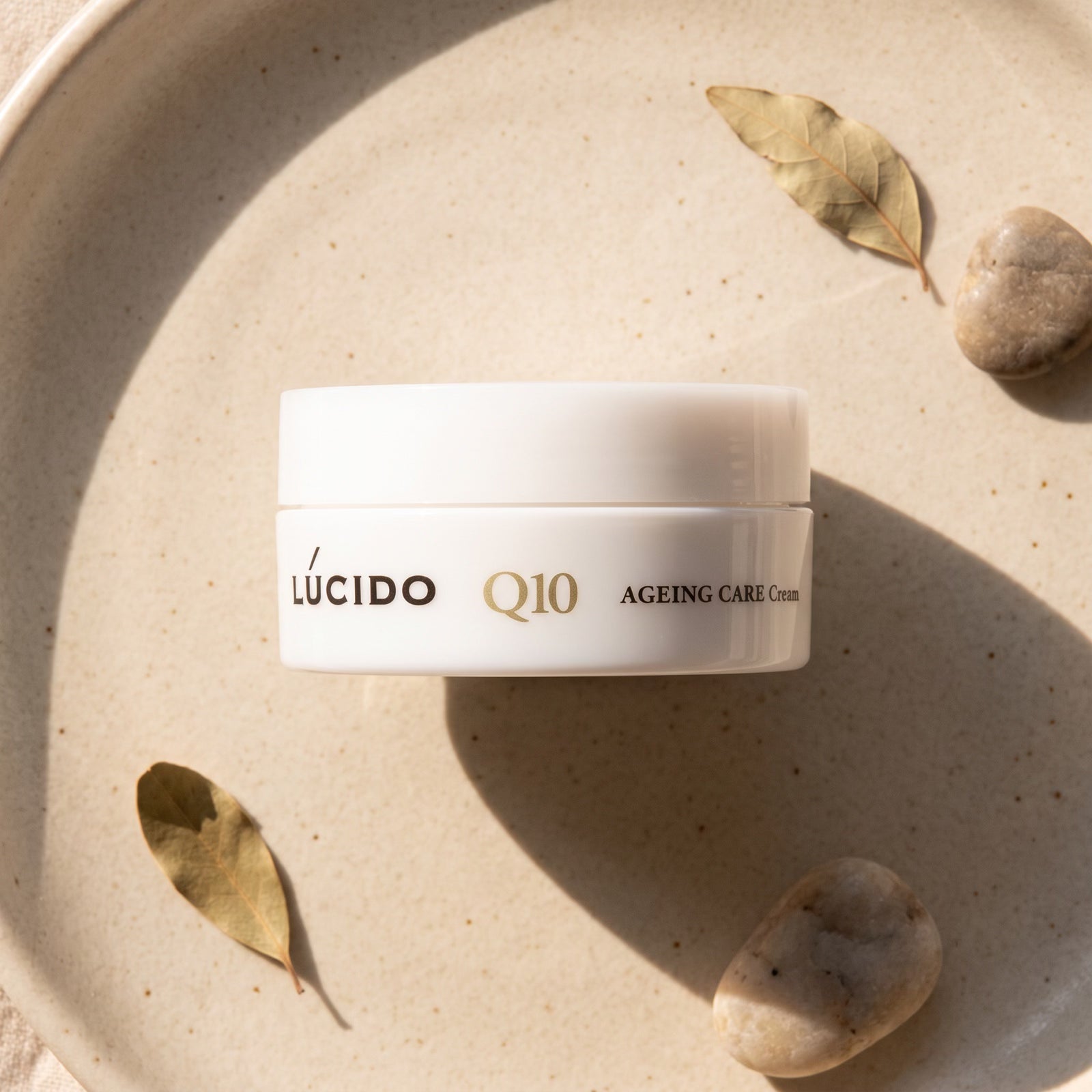 Lucido Q10 Ageing Care Cream for Men 50g — GIFT - TOP ANGLE
