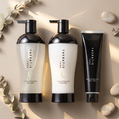 Theratis Tera Premium EX Night Moist Shampoo, Treatment & Hair Mask Set 435ml x2 + 130g — GIFT TOP ANGLE